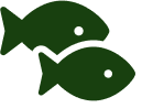 Makan Ikan